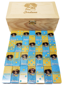 Picture of LA Chargers Domino Set