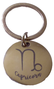 Picture of Zodiac Sign Stainless Steel Key Chain