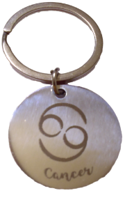 Picture of Zodiac Sign Stainless Steel Key Chain