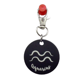 Picture of Black Metal Zodiac Sign Steel Key Chain