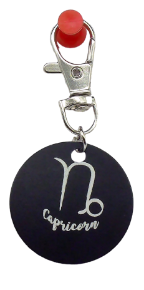 Picture of Black Metal Zodiac Sign Steel Key Chain