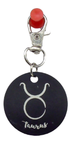 Picture of Black Metal Zodiac Sign Steel Key Chain
