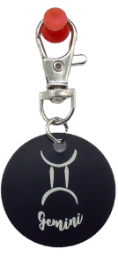 Picture of Black Metal Zodiac Sign Steel Key Chain