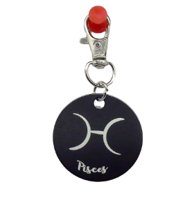 Picture of Black Metal Zodiac Sign Steel Key Chain