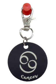 Picture of Black Metal Zodiac Sign Steel Key Chain