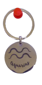 Picture of Zodiac Sign Stainless Steel Key Chain