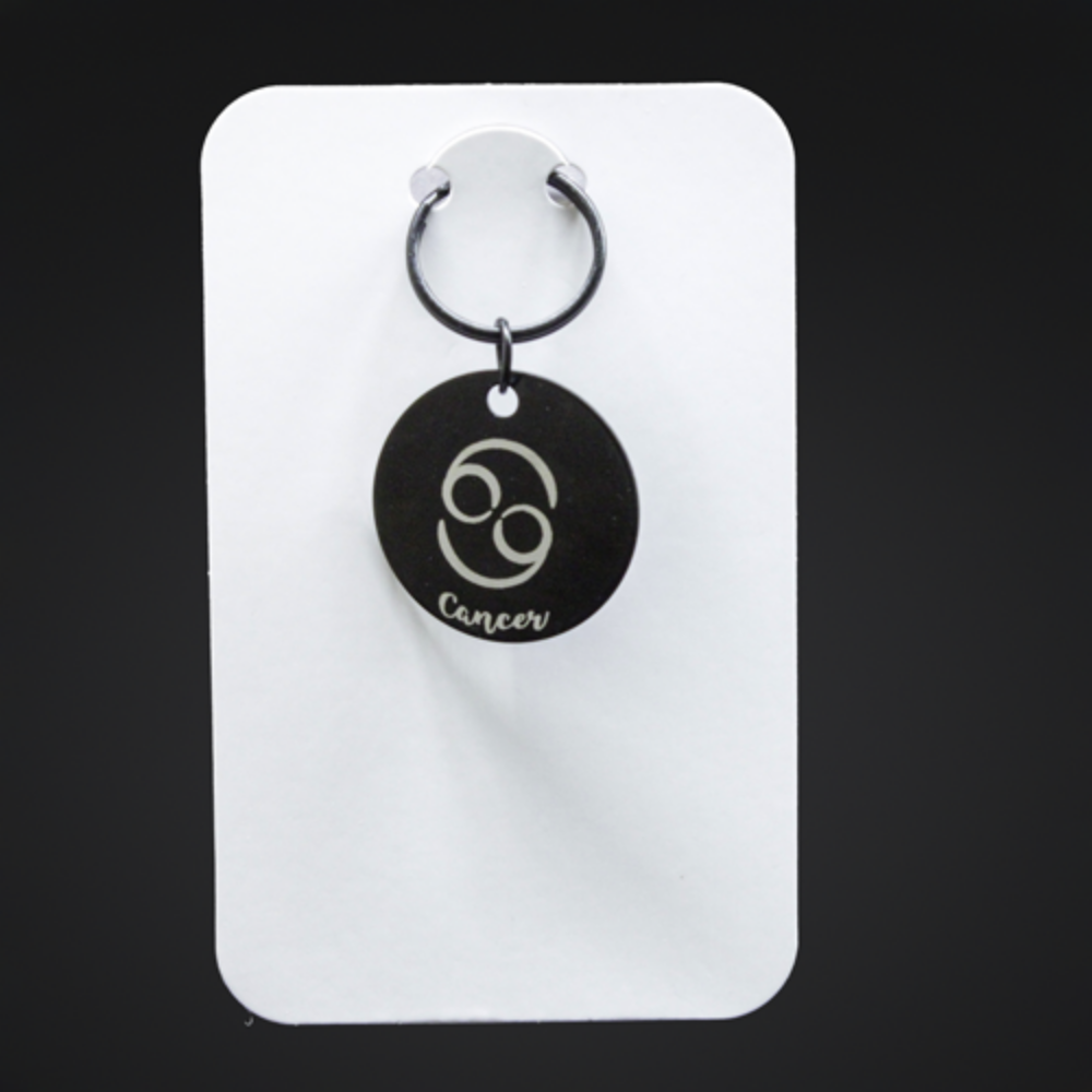 Picture of Black Metal Zodiac Sign Steel Key Chains